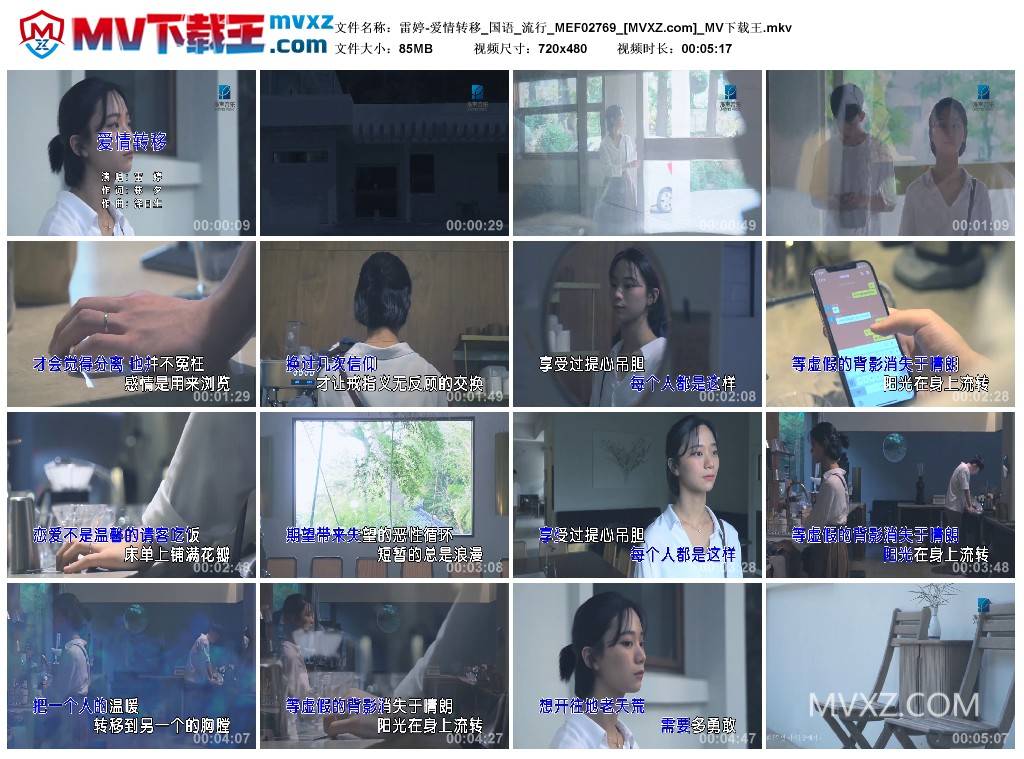 雷婷-爱情转移_国语_流行_MEF02769